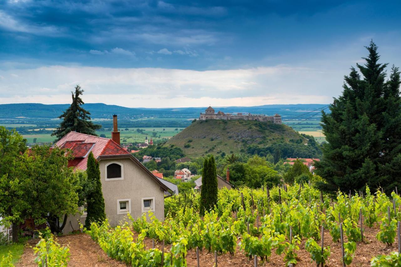 Ter Pince Villa Sümeg Екстериор снимка