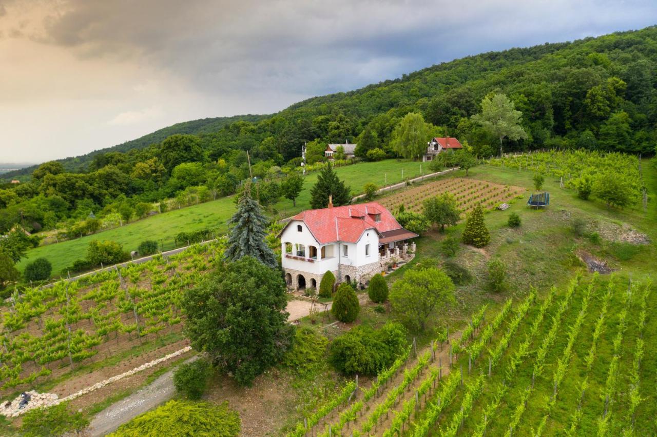 Ter Pince Villa Sümeg Екстериор снимка