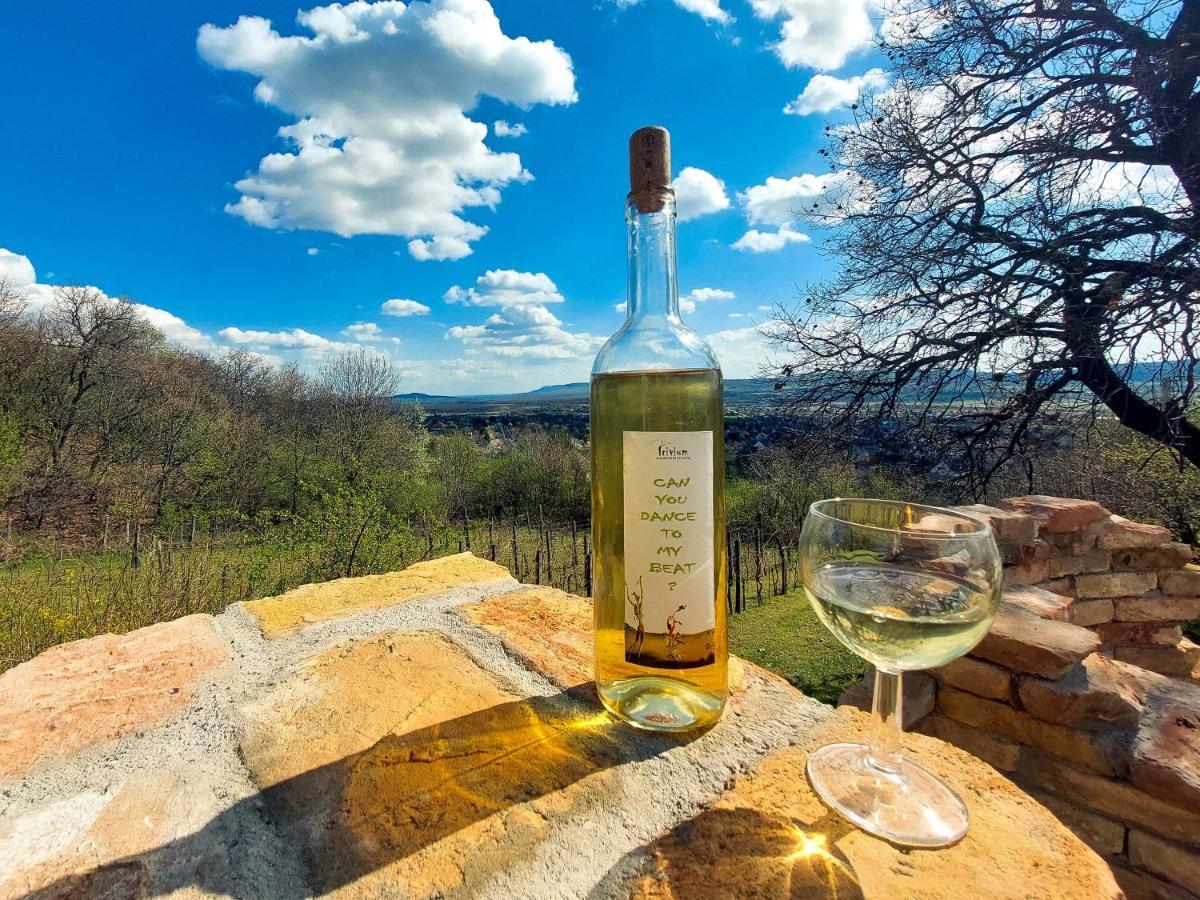 Ter Pince Villa Sümeg Екстериор снимка